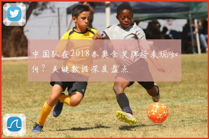 中国队在2018冬奥会奖牌榜表现如何？关键数据深度盘点