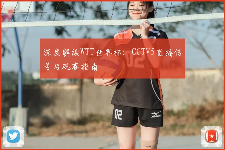 深度解读WTT世界杯：CCTV5直播信号与观赛指南