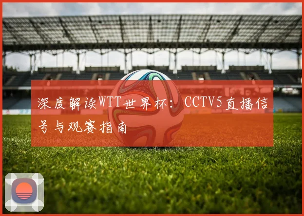 深度解读WTT世界杯：CCTV5直播信号与观赛指南