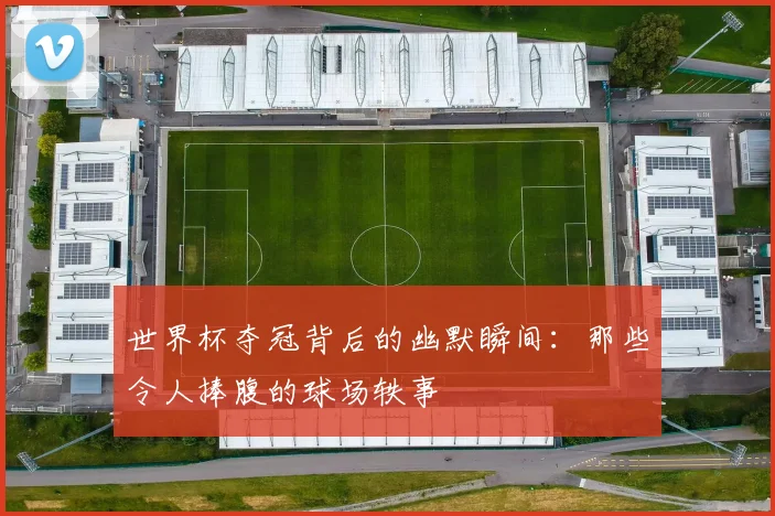 世界杯夺冠背后的幽默瞬间：那些令人捧腹的球场轶事